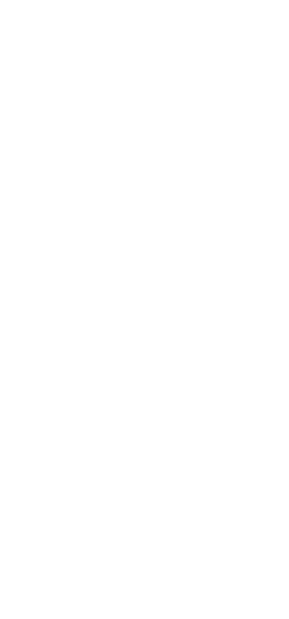 Left decorative craft